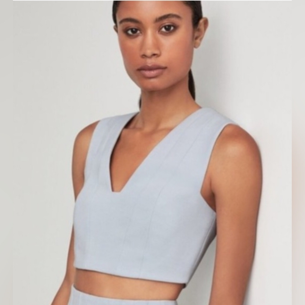 BCBGMaxAzria Haze Crop Top Xs